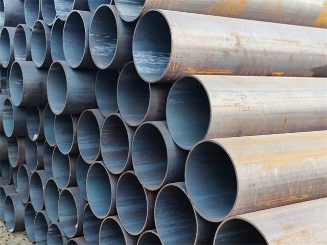 IMG_20230401_161706.jpg IMG_20230401_161706.jpg